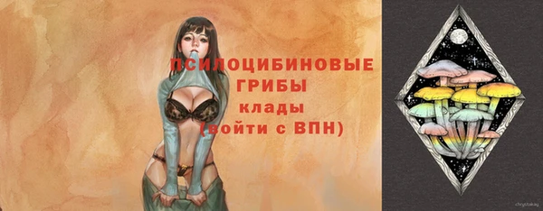 ГАЛЛЮЦИНОГЕННЫЕ ГРИБЫ Магас