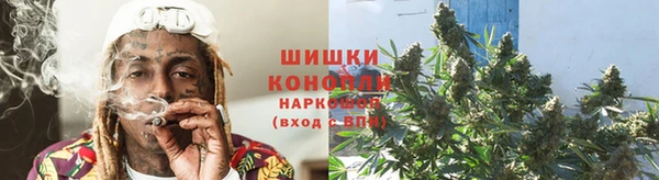 индика Майский