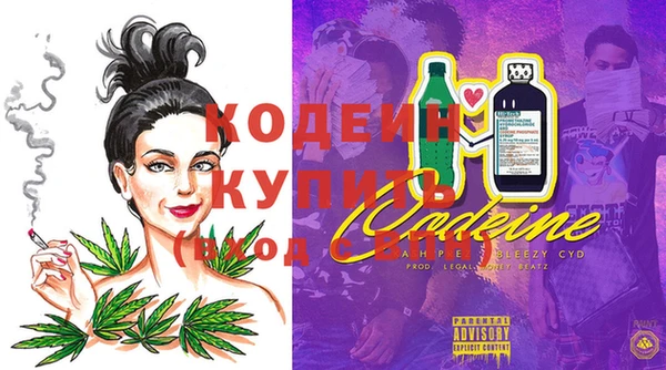 ГАЛЛЮЦИНОГЕННЫЕ ГРИБЫ Магас
