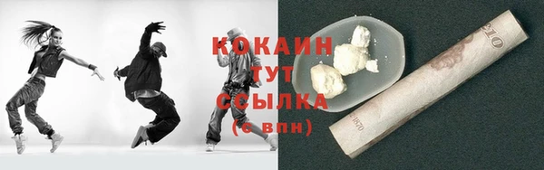 индика Майский