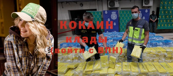 индика Майский