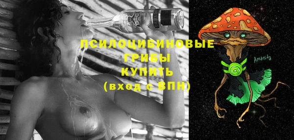 индика Майский
