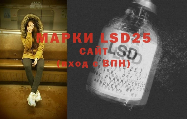 ГАЛЛЮЦИНОГЕННЫЕ ГРИБЫ Магас