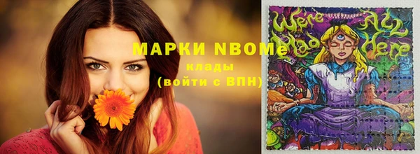 ГАЛЛЮЦИНОГЕННЫЕ ГРИБЫ Магас