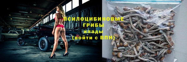 амф Магадан