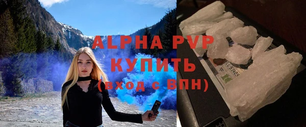 индика Майский